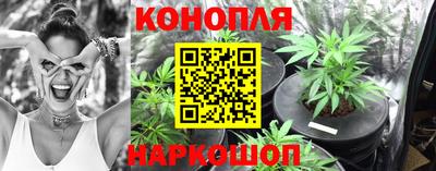 ГАЛЛЮЦИНОГЕННЫЕ ГРИБЫ Тула
