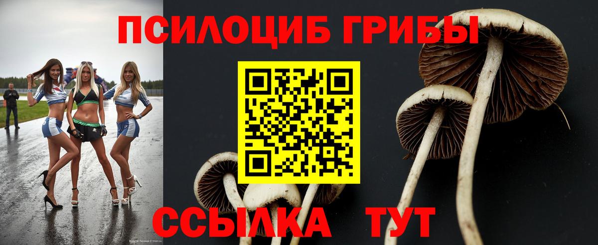 Мичуринск  Галлюциногенные грибы Psilocybe  Вход с VPN  купить закладку  Галлюциногенные грибы GOLDEN TEACHER 